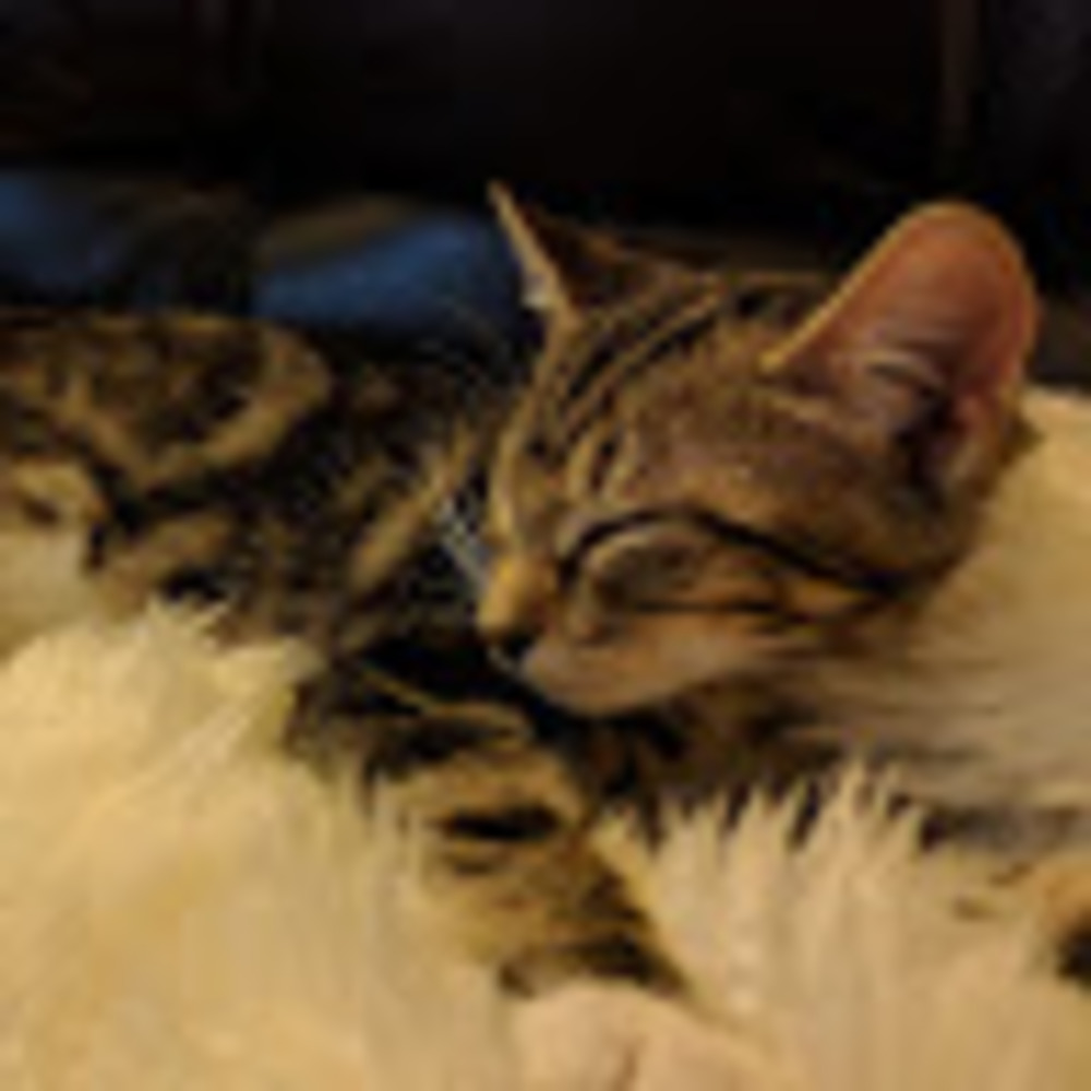 Meet your Posher, Marissa